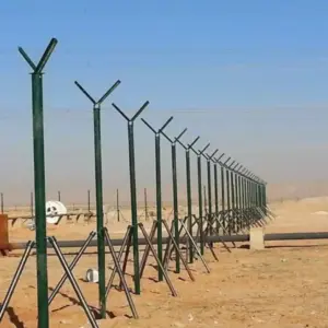 شبوك شبوك