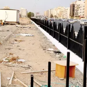 شبوك شبوك